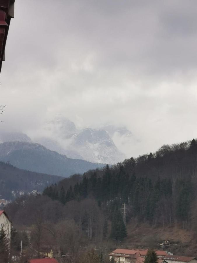 Apartament Panoramic View Sinaia Daire Dış mekan fotoğraf