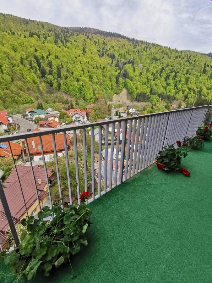 Apartament Panoramic View Sinaia Daire Dış mekan fotoğraf