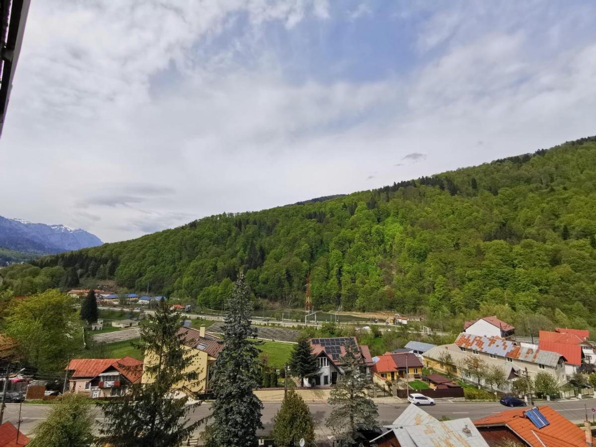 Apartament Panoramic View Sinaia Daire Dış mekan fotoğraf