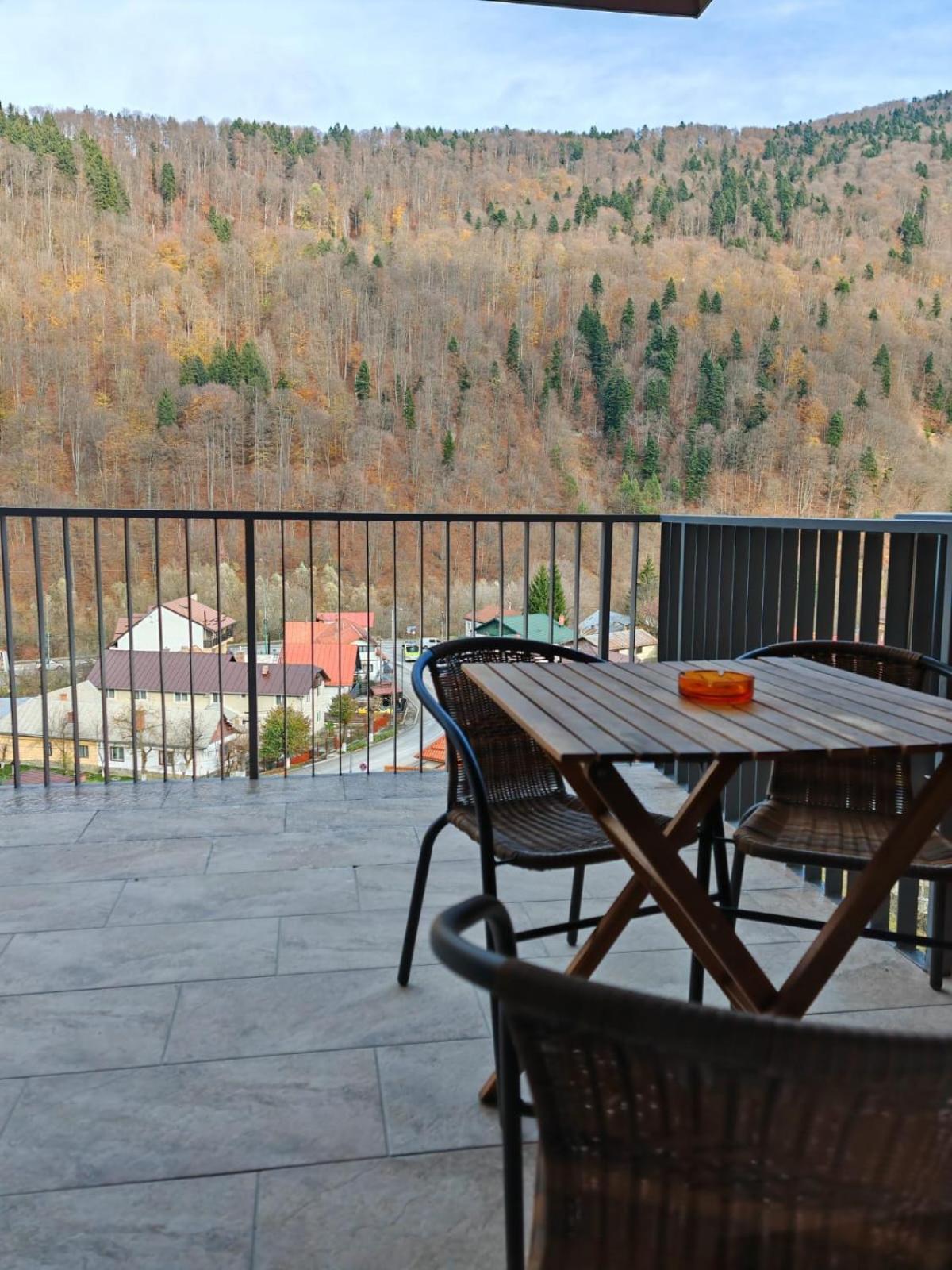 Apartament Panoramic View Sinaia Daire Dış mekan fotoğraf